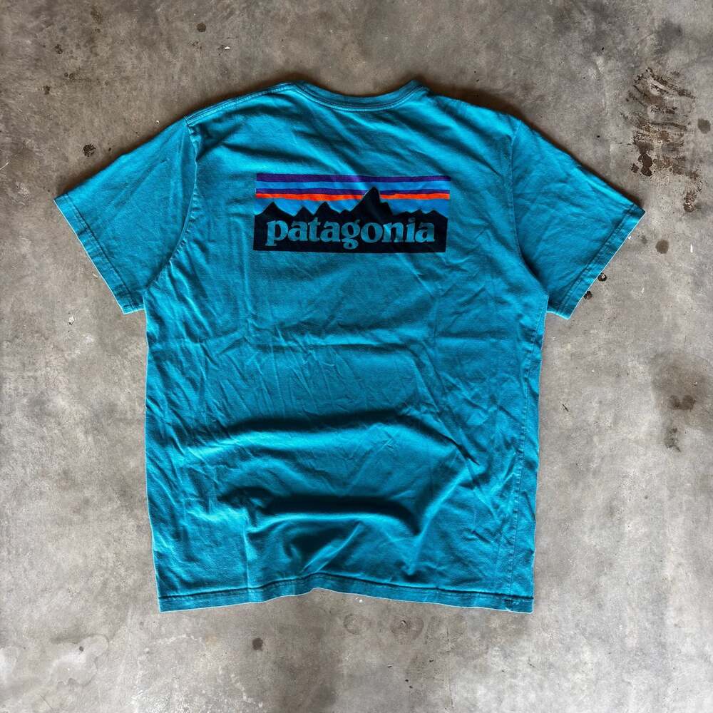 Patagonia box logo hiking T shirt